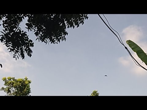 Hello friends puja vlog is live please join me