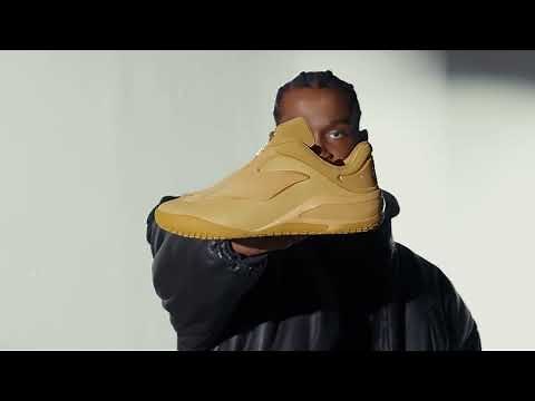 Introducing the SHAI 001