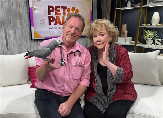 World Parrot Day spotlights endangered species and conservation efforts