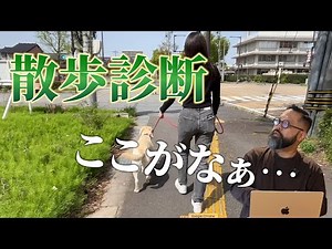 【犬の散歩】これを見ればあなたも散歩マスター！散歩動画を見てアドバイスしてみた