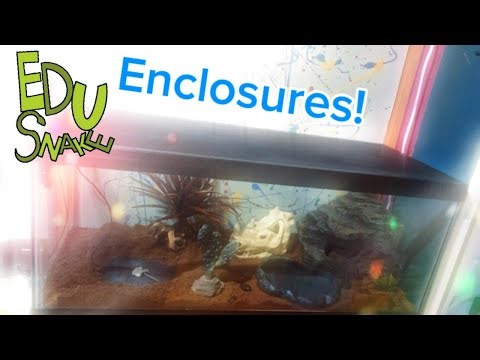 Setting Up Snake Enclosures!