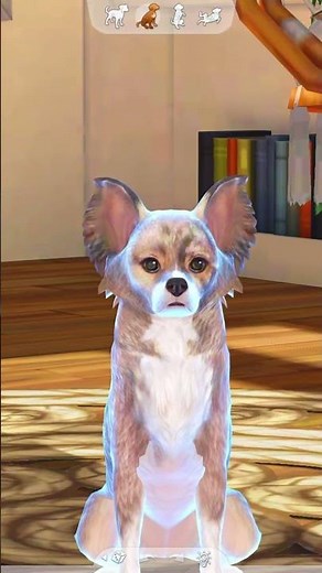 COMO TER ANIMAIS REALISTAS NO THE SIMS 4! #thesims4 #thesims #cats&dogs #sims4