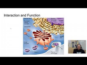 AP Bio Unit 2 - 2.2 - Cell Structure and Function