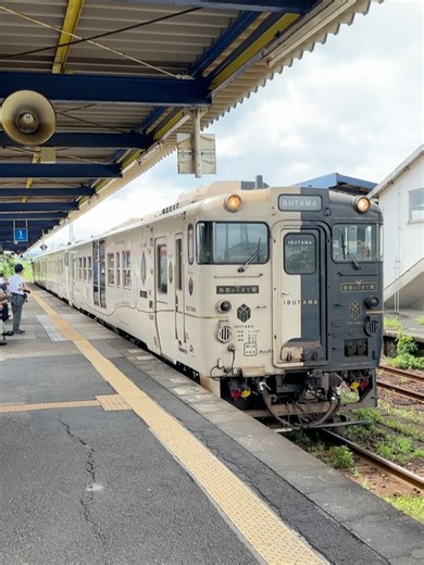 那智庵日記｜一宮巡り｜伝建巡り｜ on Instagram: "🚃指宿のたまて箱（いぶすきのたまてばこ） 特急指宿のたまて箱は、鹿児島中央駅と指宿駅間を走る列車です。車体は、たまて箱を開けると黒い髪が白髪になったという浦島太郎の伝説にちなんで、半分が黒、半分が白で塗装されています。駅に到着すると屋根から煙がもくもくと上がり、たまて箱を開けた時の煙を象徴しています。 特徴的な外観だけでなく、内装もソファーや海が見える席など、一般の列車とは全く異なります。また、車内には浦島太郎にちなんだ装飾が随所に施されています。出発時にはホームで係員が乗客に手を振ってお見送りし、車内では記念品や様々なお土産も販売されています。 指宿は日本有数の温泉地で、「にっぽんの温泉100選」で常に上位にランクインしています。車内からは鹿児島県のシンボルである桜島を眺めることができ、乗務員によるアナウンスでご案内いたします。指宿のたまて箱は通常2両編成ですが、多客期には3両編成となります。全車指定席です。 この旅行はちょうど台風と重なったため、列車の乗客はそれほど多くなく、この特別な列車をさらに探索することができま