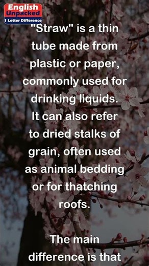 Strap and Straw (One Letter)