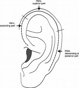 Helix - Alchetron, The Free Social Encyclopedia