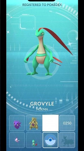 ✨Shiny Treecko✨ Evolution Line! PokemonGO!