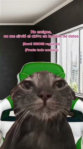 #software #memes #ingenieros #programacion #informatica #sql #informática