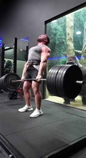 Gorilla vs Human Weight Lifting 😱🦍 | This Strength Is NOT Normal! #gorilla #viralvideo