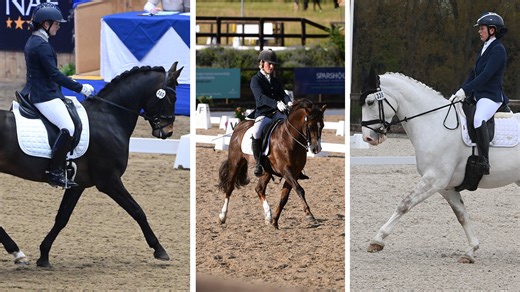 Traditional breeds shine at the Winter Dressage Championships