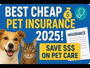 Top 5 Cheap Pet Insurance Options (2025 Update) You Can Actually Trust! | Save Money on Pet Care!