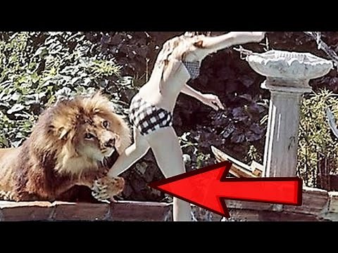 Most Shocking Stunts Gone Wrong