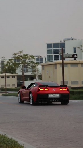 Ash S on Instagram: "My Daily, what's yours?"