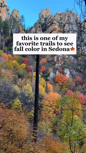 sterling pass trail in Sedona bursts with fall foliage . This trail and area might be be my favorite place to experiences colorful fall foliage in Arizona. This trail is beautiful, and last year this trail made a perfect “late season” fall hike. We went in late November! Details: Sterling pass trail 4.1 miles roundtrip , but our Garmin said 5 miles 2,000’ elevation gain Hike all the way to Vultee arch, if you wish! It’s pretty neat! Park across the street from Manzanita Campground, along the roa