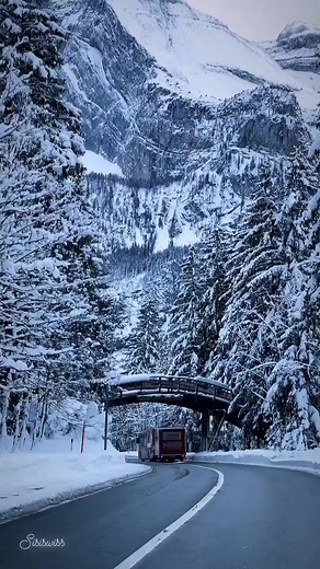 2.4M views · 129K reactions | 略 | Nature gallery | Facebook