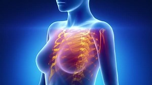 女性扫描胸部器官解剖