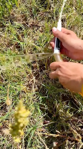 DIY Gardening hack that will amazed you.