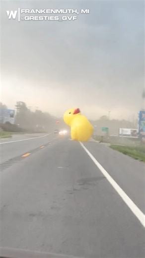 117K views · 1.4K reactions | What the DUCK!? 閭閭 A giant inflatable duck was caught blowing across the road in Frankenmuth, MI on Monday. What would your reaction be to seeing this? | WeatherNation | Facebook
