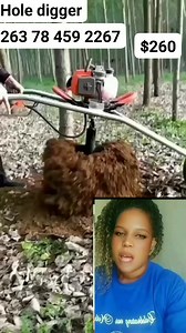 1.1K reactions · 46 shares | #agriculture #Zimbabwe @highlight | Linda Mashiri | Facebook