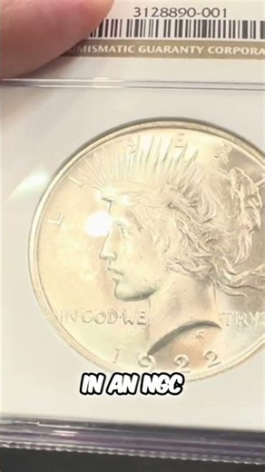 Rare 1922 Peace Dollars: Gold-mine in My Coin Shop! #shorts