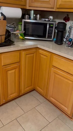 Angry stompy birb #iwoulddieforpico #foryoupage #birdsoftiktok #caiques