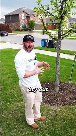 The Right Way to Mulch Trees!