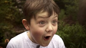 It's more fun at the Zoo this summer! Visit the UK's only giant pandas, enter our Tiger Tracks tunnel and enjoy all the antics down at Penguins rock. Kids tickets now under £10. | Edinburgh Zoo