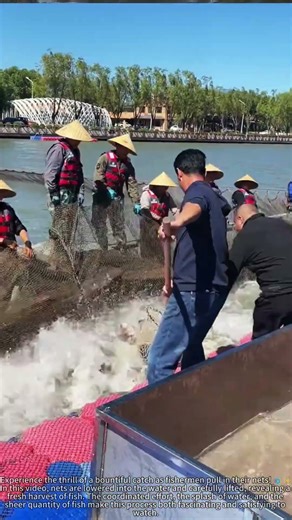 Catching Fish with Nets | Big Harvest from the Water 🐟🌊