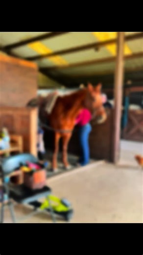 Beautiful weather and horses is all one needs sometimes. 😁