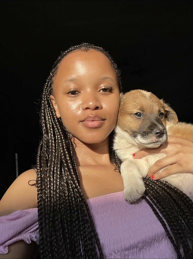 Introducing Gamma AI: Revolutionizing Website Creation & Presentations