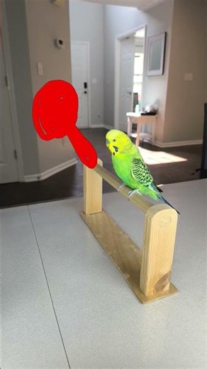hey man, you wanna play some ping pong? #comedy #skit