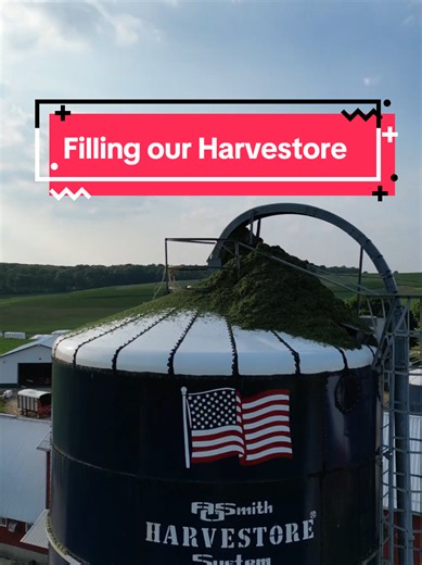 Chopping Alfalfa to Fill a Harvestore: Farm Tractor Silo Process