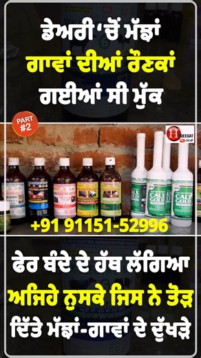 Haqeeqat Tv Punjabi Htv on Instagram: "ਇਸ ਬੰਦੇ ਵਾਲਾ ਨੁਸਕਾ ਅਜ਼ਮਾਓ ਡੇਅਰੀ ‘ਚ ਮੁੜਕੇ ਰੌਣਕਾਂ ਲਓ ਦੁੱਧ ਵਧਾਓ ਬਿਮਾਰੀਆਂ ਘਟਾਓ Part-2"