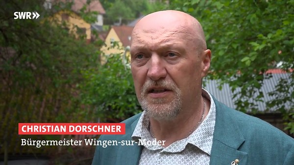 Falle für asiatische Hornisse