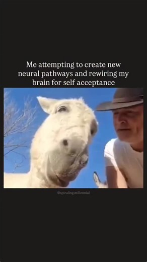 changes on Instagram: "Acceptance rewires the brain and heal trauma not because you “think differently,” but because you respond differently at the level of sensation and safety. Neurons wire together together based on what you do in the moment of activation. Healing is about changing what you do when old circuits fire, so that new circuits form. You have to know something first before i talk about rewiring. You have to accept and embrace your trauma sensations totally. If not, then you'll resis