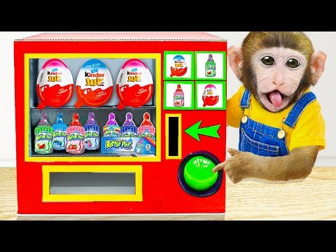 Monkey Dodo Triggers Candy Machine Chaos With a Shark and Runs Away