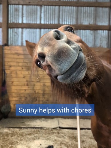 The Benefits of Using Poop as Fertilizer