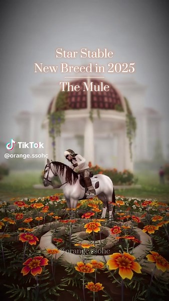 Discover the New Mule Horse in Star Stable Online