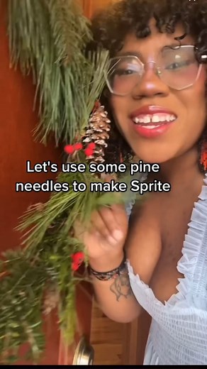 Alexis Nikole 🌾🍀 on Instagram: "THE WHOLE VIDEO THIS TIME 🤣 Conifer needle Sprite! A fun winter ferment, especially if you have boughs left over from wreath making!! Y’all know I love my wild sodas and cordials 🥰✨🌲 Shoutout to @ms_shi_mr_he’s great video on this process!"