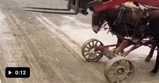 Amish forklift certified... - Video