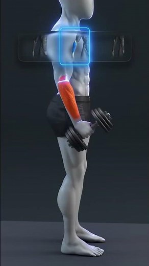 💪🔥 The Best Exercises for Bigger Forearms / ➰ Reverse Grip Curls Targets the brachioradialis