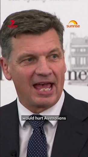 Angus Taylor warns of 'eternity of pain' if One Nation wins government