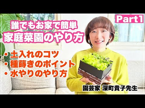 【お家で簡単】葉物野菜がおすすめ！家庭菜園での水やり・土入れ・種まきのコツを伝授