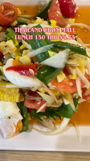 Eng Chin USA 陳子娟 on Instagram: "#Thailand UBON mall lunch 150THB $4.75 在烏汶泰國商場午餐150銖$4.75#มานั่งกินข้าวเที่ยงที่มอเซ็นทรัลอุบล"