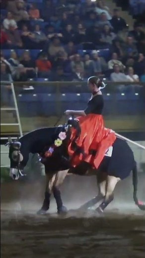 2025 Freestyle Reining Highlights