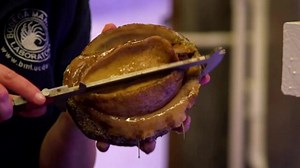 Sea snail matchmakers fight to save the white abalone