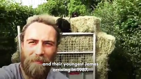 Watch: Everything you need to know about Carole Middleton