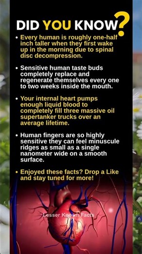 Did you know? #heart #facts
