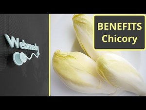 Health Benefits of Chicory