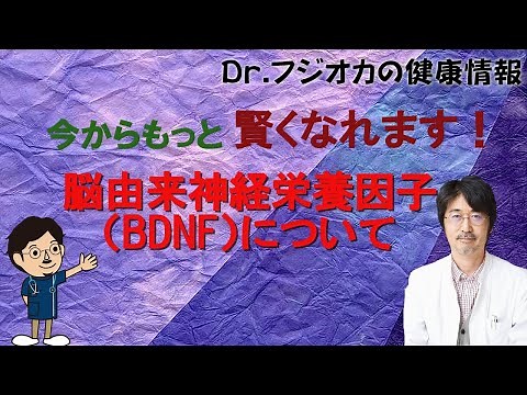 今からもっと賢くなれます！ 脳由来神経栄養因子（BDNF）について